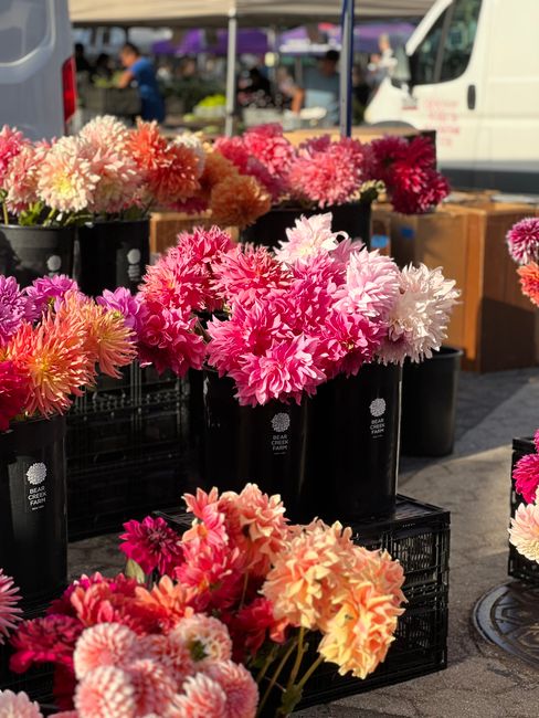 At Brockley Market, a display of vibrant, freshly cut hydrangeas arranged in tall black buckets with the florist Brockley.co.uk logo. The hydrangeas exhibit a range of colours, including soft pink, br